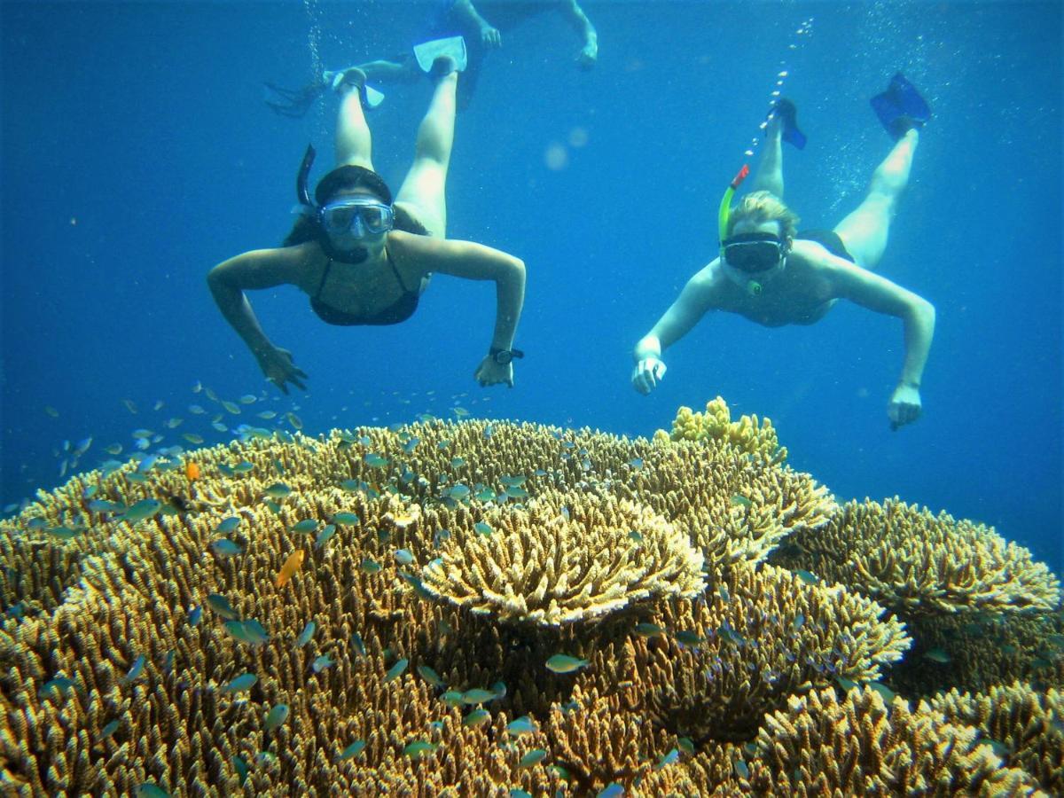 Mayo Resort Umeanyar Dış mekan fotoğraf